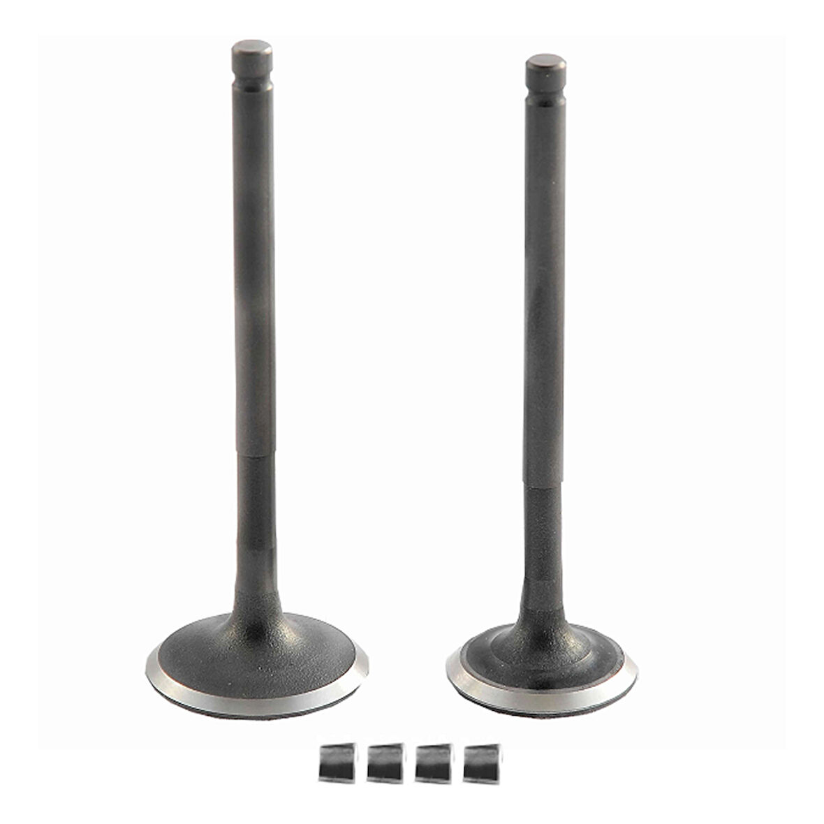 Vtc Emme Egzoz Sübap Takımı Cygnus L 100