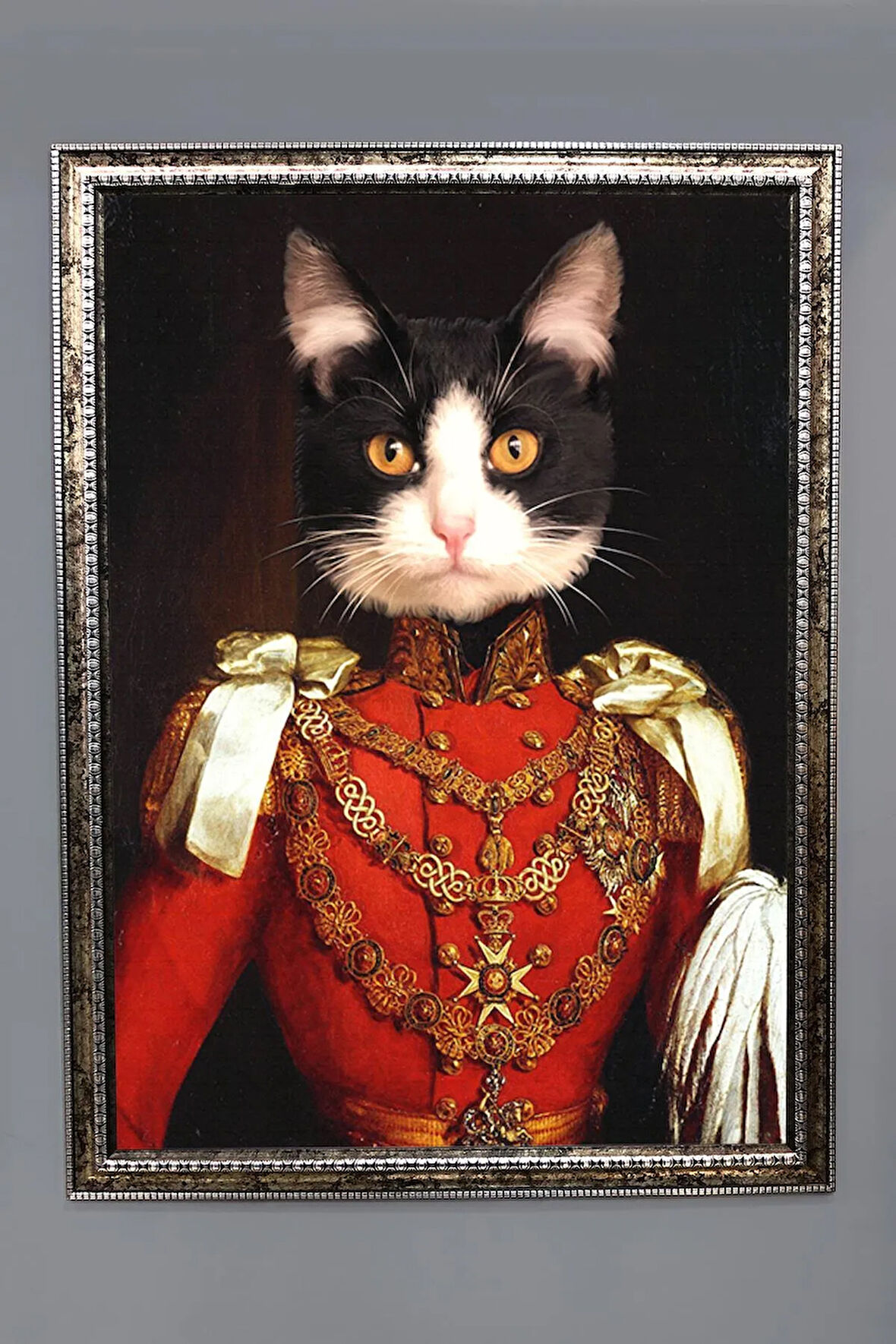 Gold Çerçeveli Kedi Tablosu Portresi 50x70CM