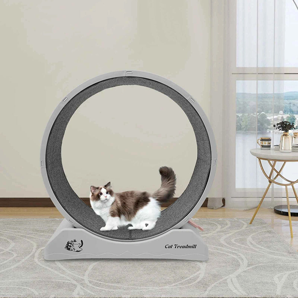 Kedi Egzersiz Çarkı – Sessiz Dayanıklı Koşu Bandı, Kedi Tekerleği ve Küçük Köpek Fitness Çarkı