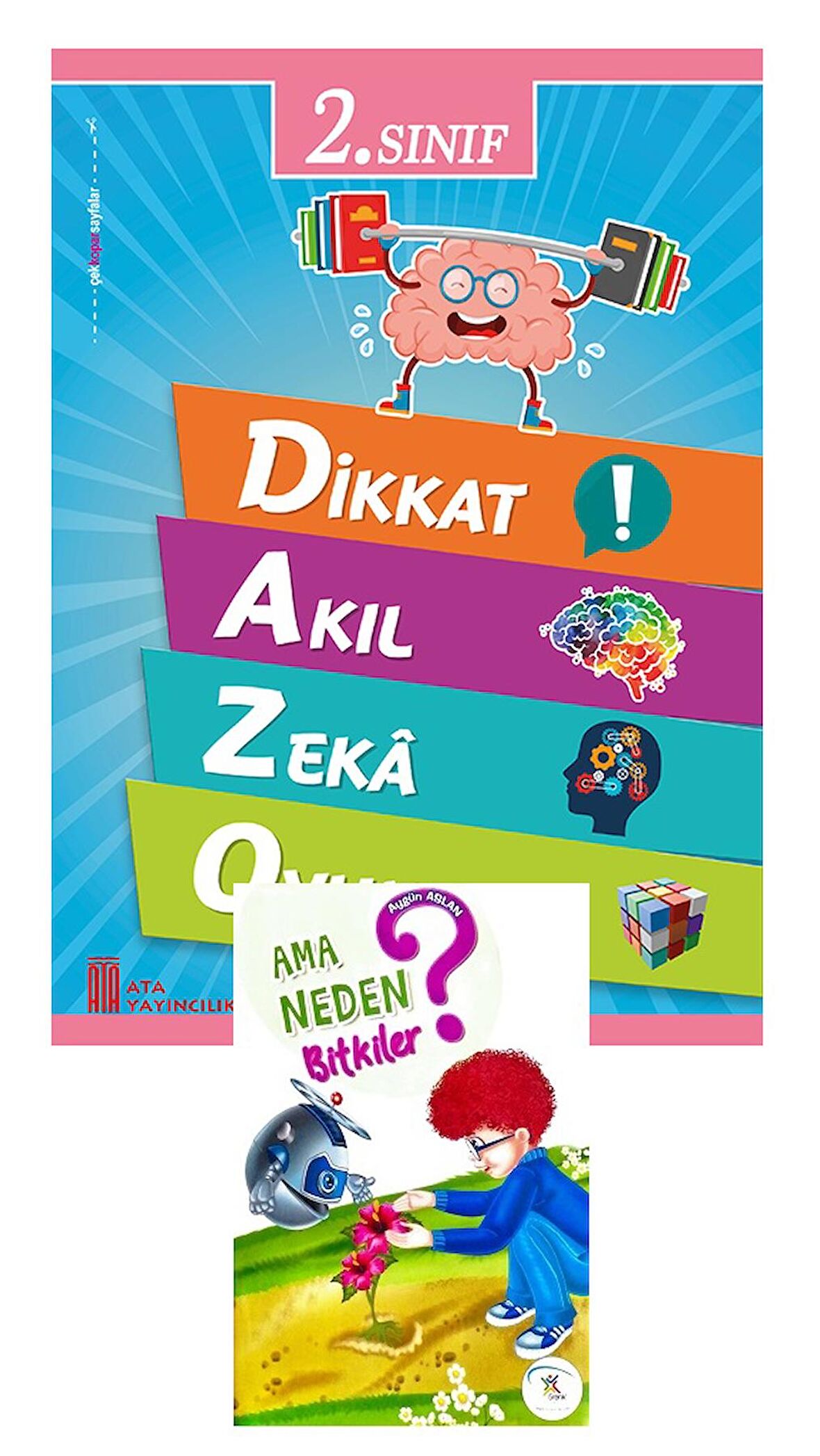 Ata 2.Sınıf Dikkat Akıl Zeka Oyunları