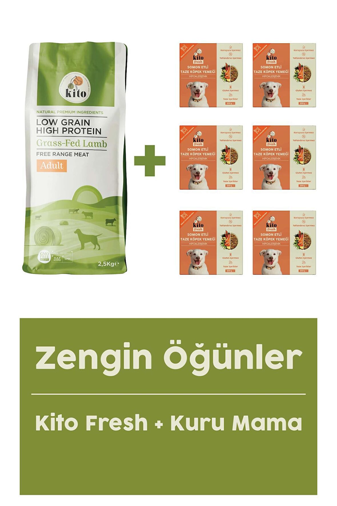 Yetişkin Köpek Maması 2,5 Kg + Somon Etli Fresh X 6