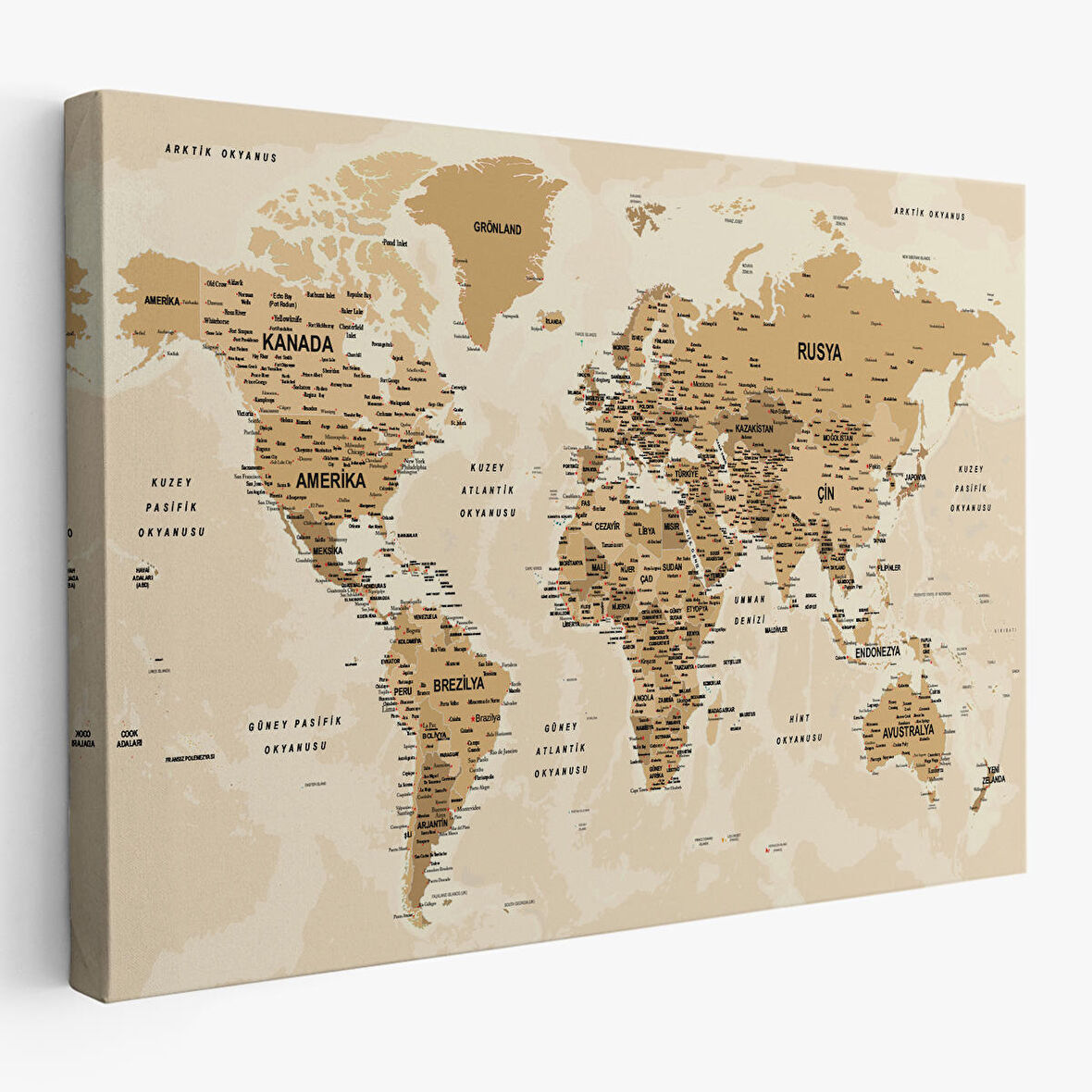 Harita Sepeti Türkçe Dünya Haritası Son Derece Ayrıntılı Eğitici Okyanuslu Kanvas Tablo 2544