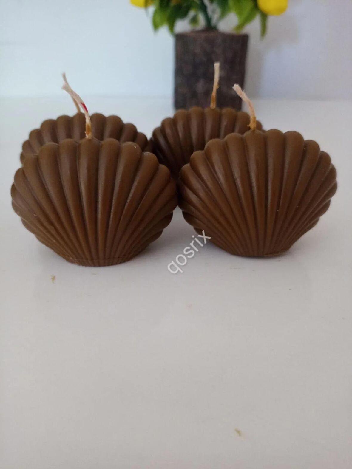 4'lü Kahverengi Mini İstiridye Deniz Kabuğu 1. Kalite Doğal Kokulu Mum Dekoratif