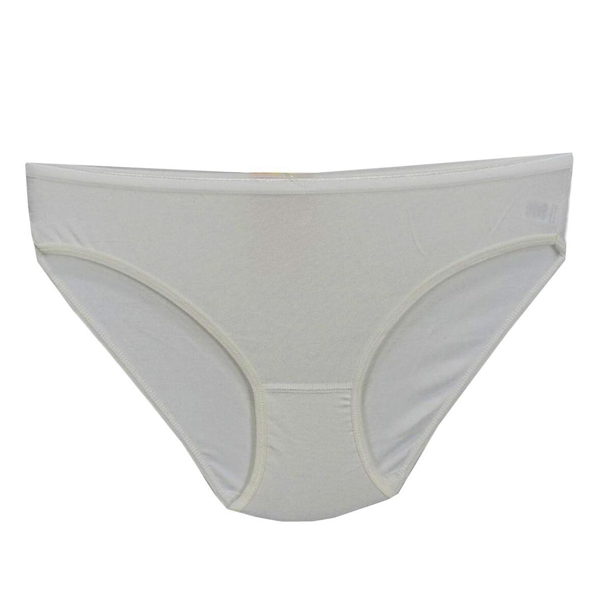 Kadın Bikini Külot Mikro Modal BGL-ST01312