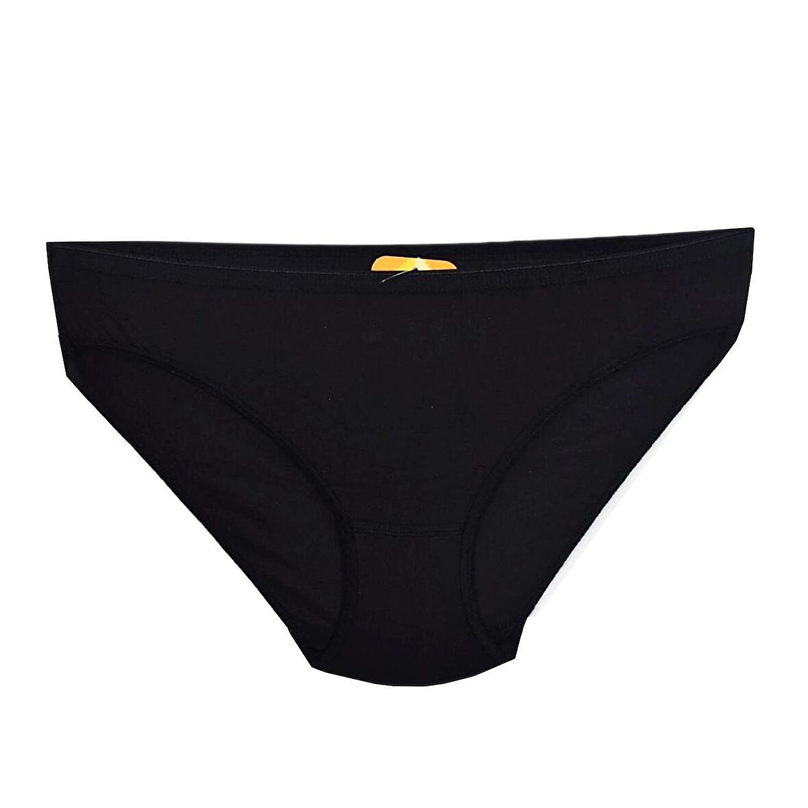 Kadın Bikini Külot Mikro Modal BGL-ST01312