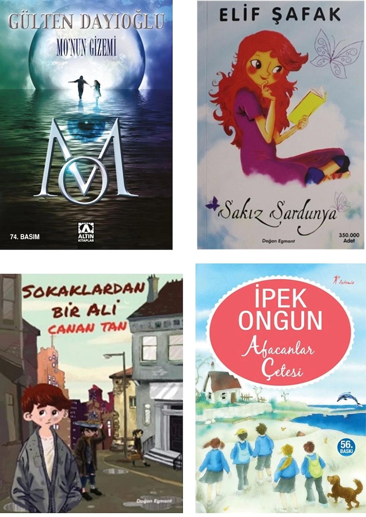 Karma Genç Edebiyatı Seçkisi Kadın Yazarlarımız 4 Kitap
