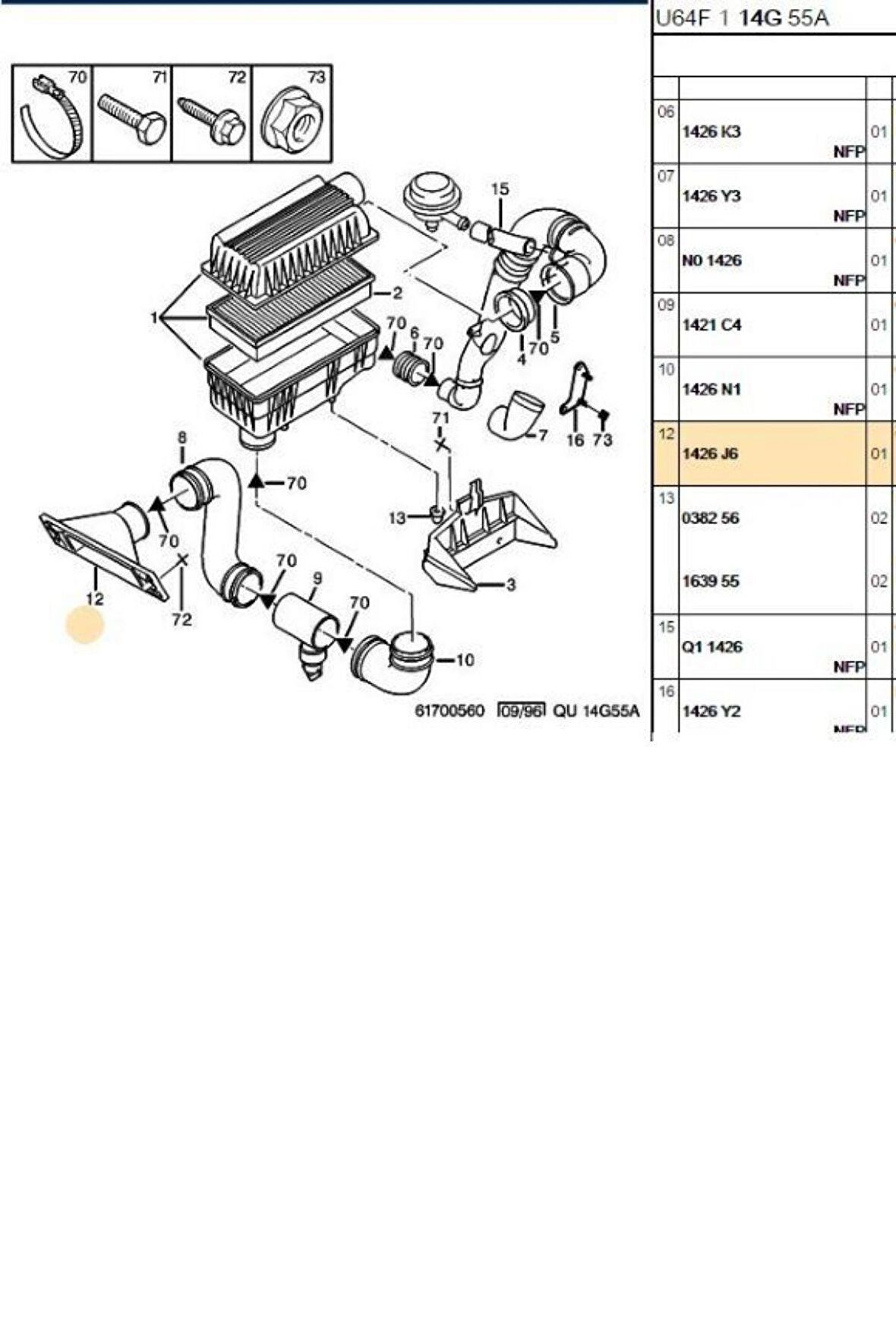 Hava Giriş Hortumu DW4 (1426J6)