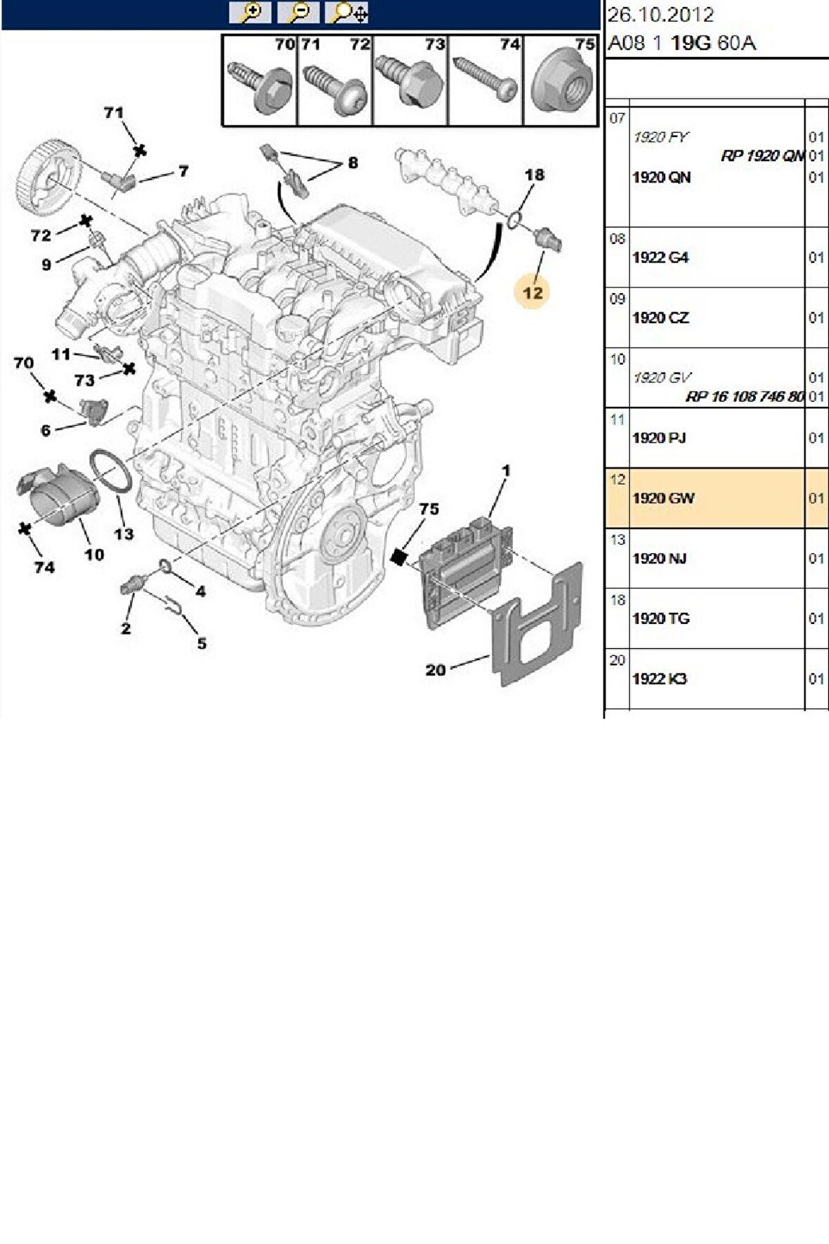 Enjektör Rail Müşürü 206 207 307 407 Bipper Expert Partner Berlingo DW6 (1920GW-9813735580)