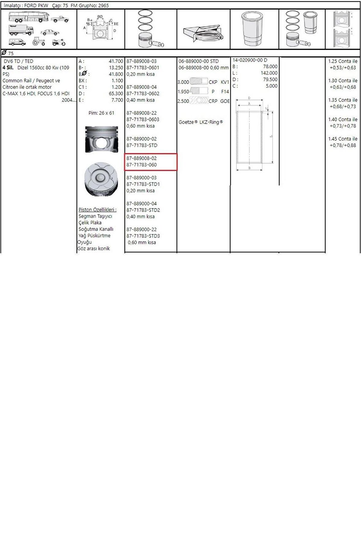 Piston Sekman 307 308 407 508 Partner Tepe C4 C5 Berlingo 0,60 DW6 (8771783060-0628V1)