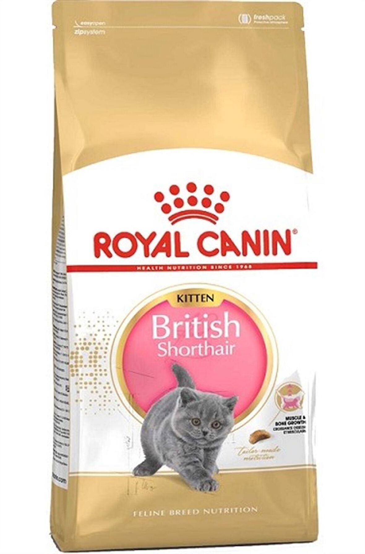 Royal Canin British Shorthair Kitten Yavru Kedi Maması 2 Kg