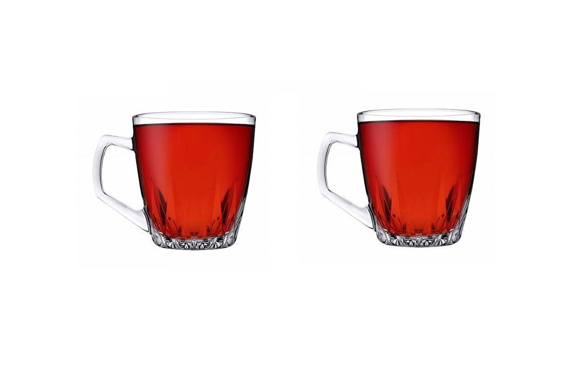 Paşabahçe Safir Kulplu Bardak 2 Li 55713