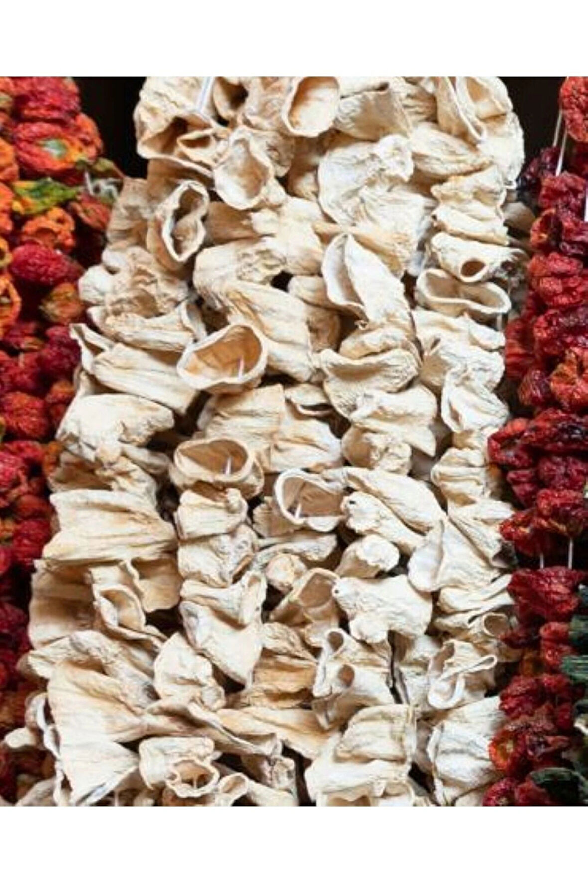 GAZİANTEP YENİ MAHSUL DOLMALIK KABAK 1 DİZİ (50 ADET)