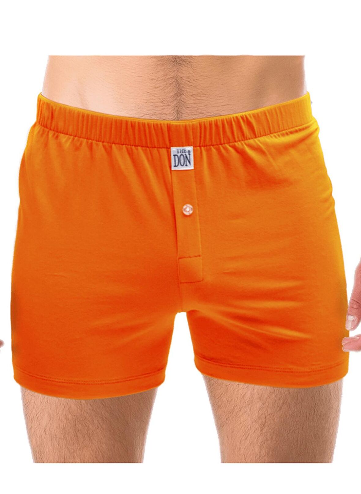 The Don Erkek Turuncu Boxer