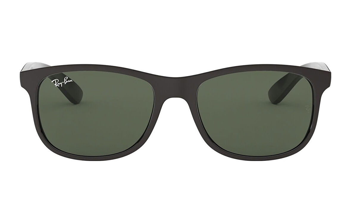 Ray-Ban RB 4202 6069/71 Unisex Güneş Gözlüğü