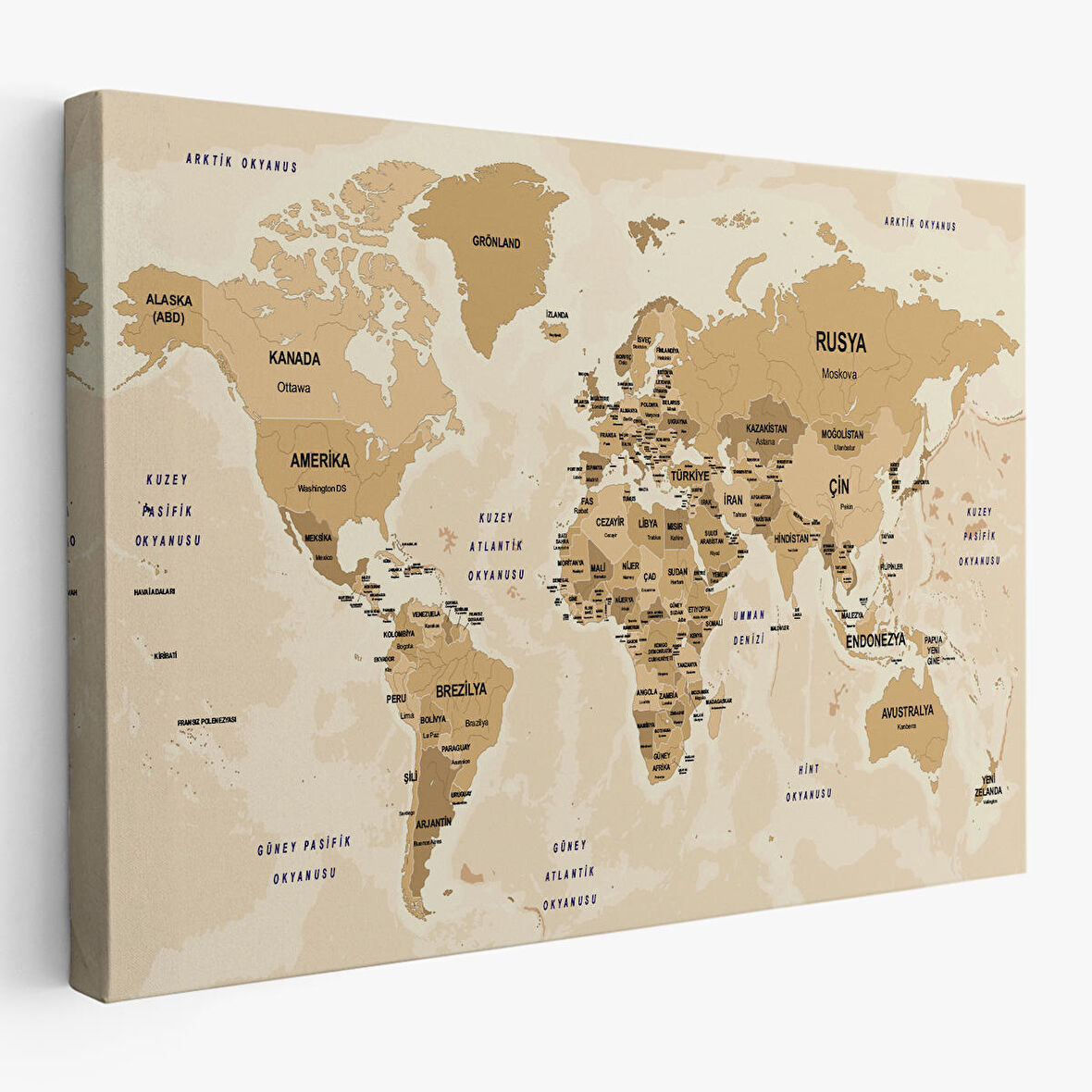 Harita Sepeti Türkçe Dünya Haritası Kanvas Tablo Ülke Başkentli ve Okyanus Detaylı Tablo 2764
