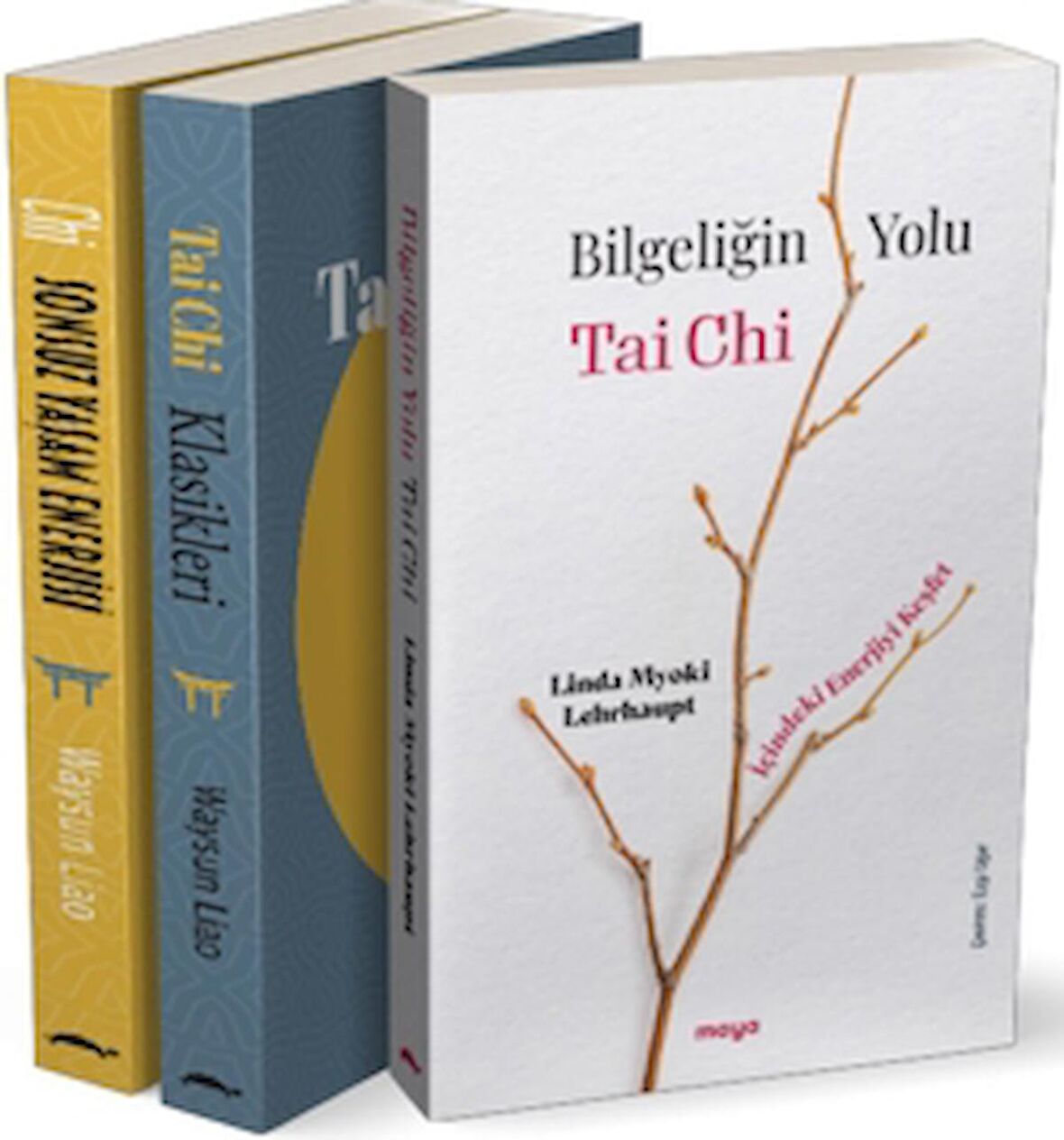 Maya Tai Chi Seti – 3 Kitap