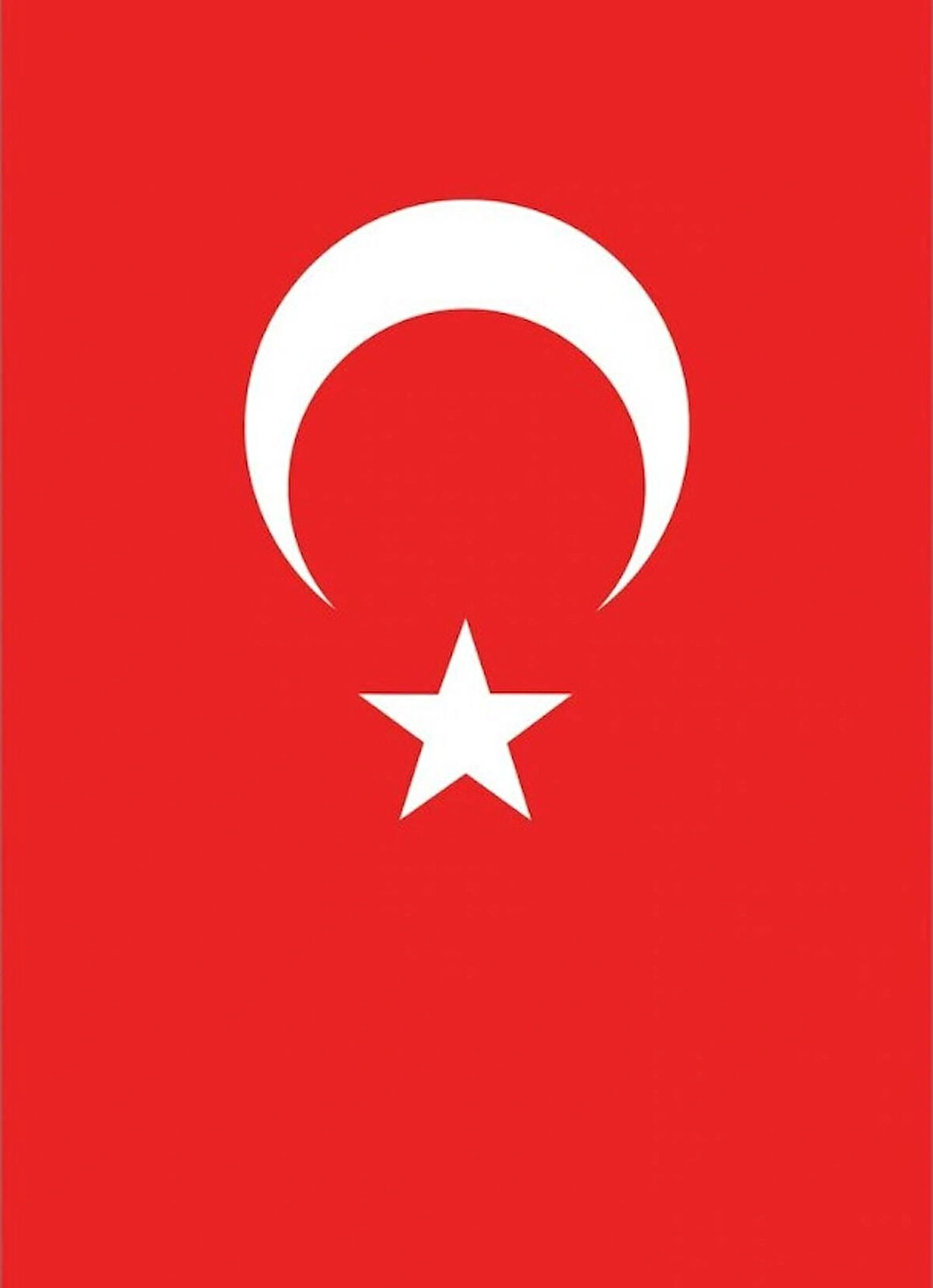 Türk Bayrağı 400 x 600 cm