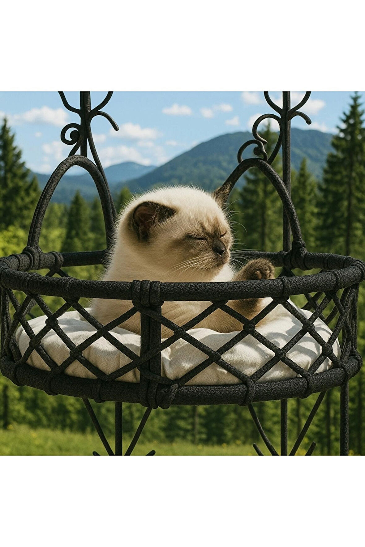 Cam Güzeli Kedi Köpek Yatağı