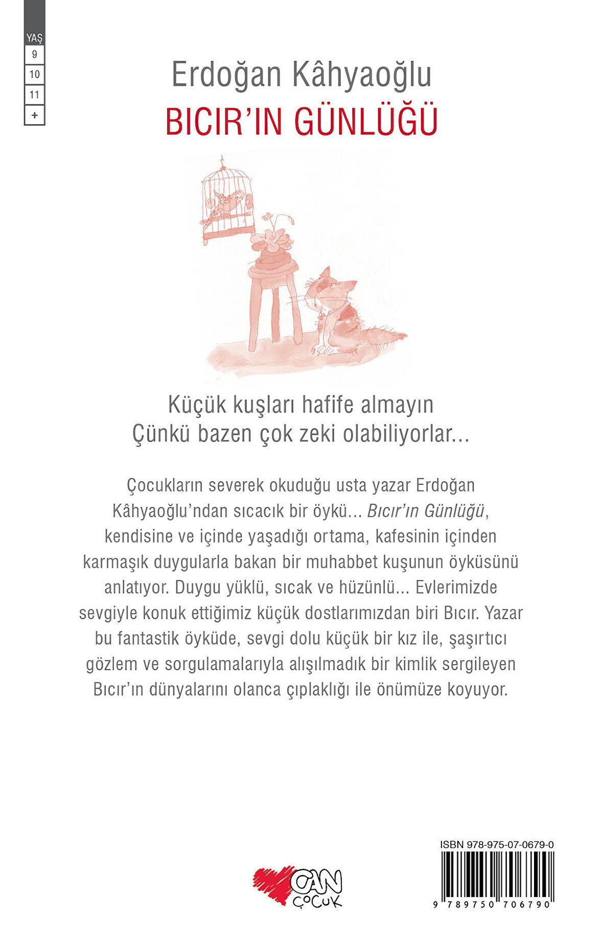 Bıcır’ın Günlüğü