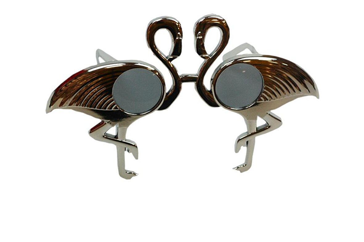 GÖZLÜK FLAMİNGO GÜMÜŞ