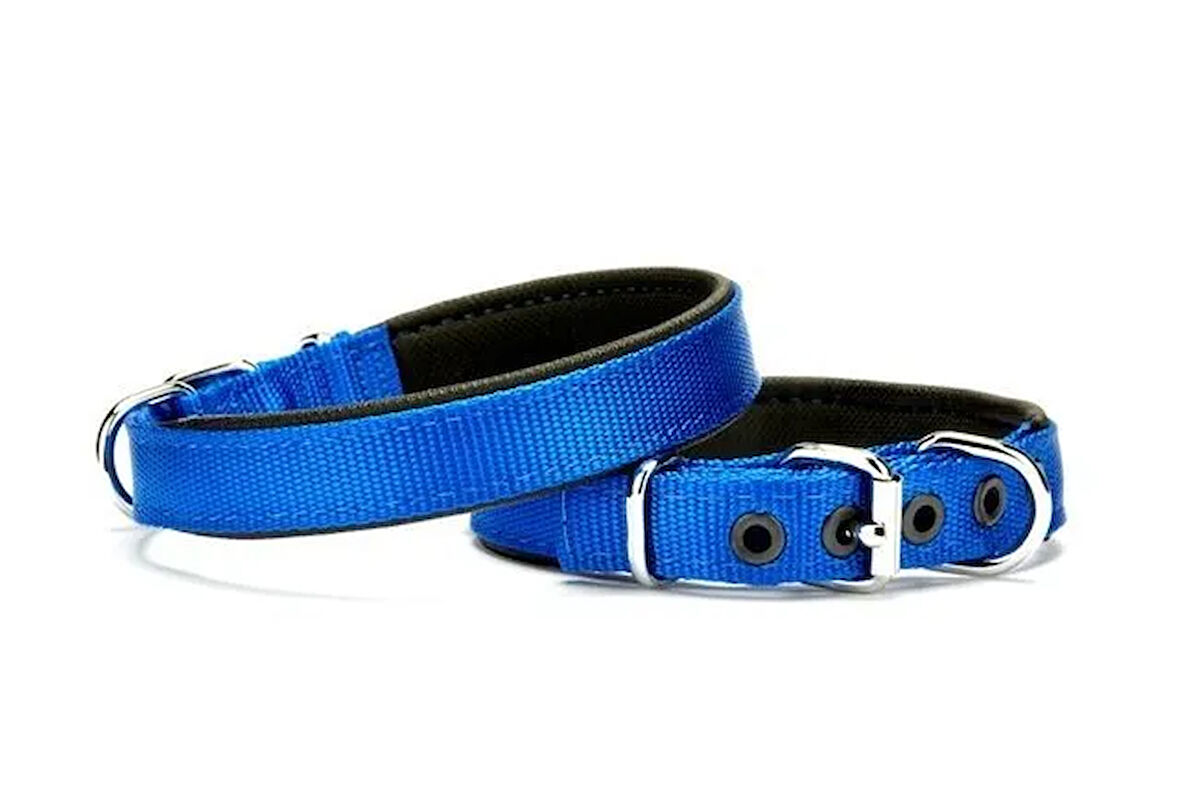Softlu Köpek Boyun Tasması 1,5 cm x 35 cm Mavi
