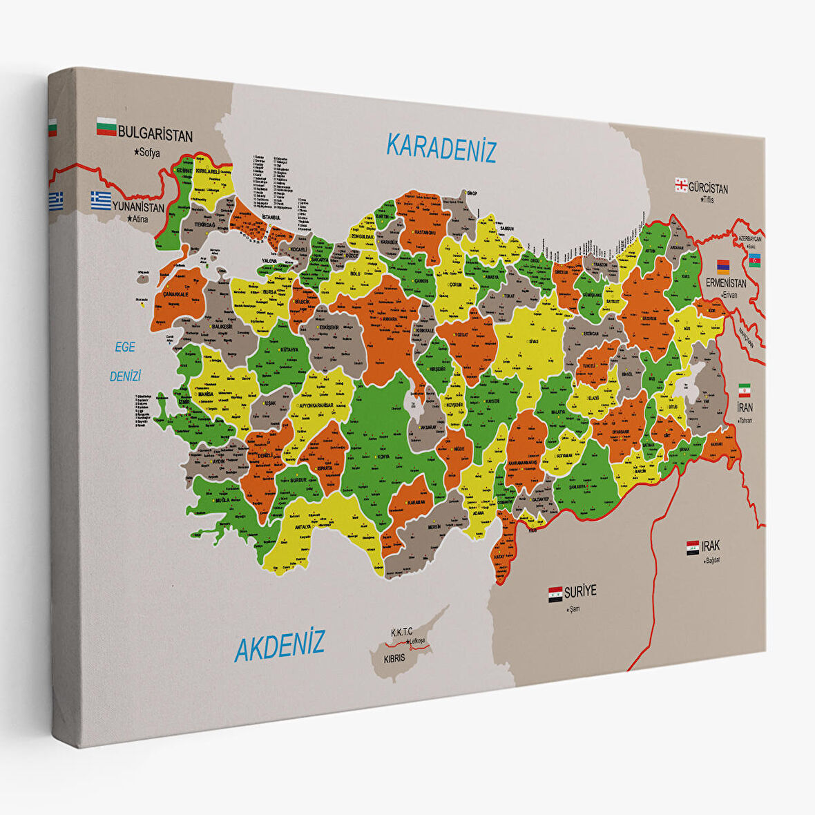 Harita Sepeti Türkiye Haritası Kanvas Tablo İl ve İlçeli Ayrıntılı Eğitici Komşulu Tablo 2999