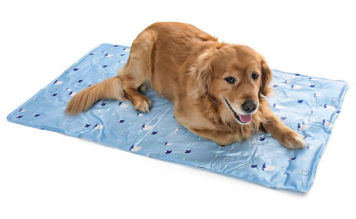 Köpek Serinletici - Soğutucu Yatak Large 60x90 cm