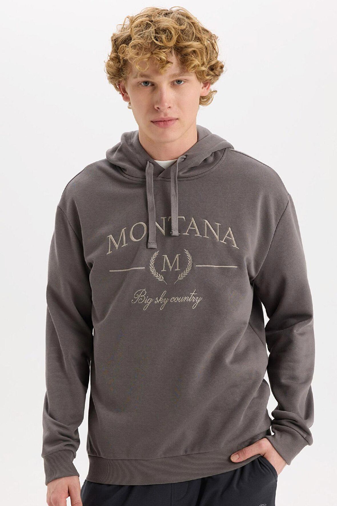 DeFacto Relax Fit Kapüşonlu Baskılı Kalın Sweatshirt D2681AX24AUAR89