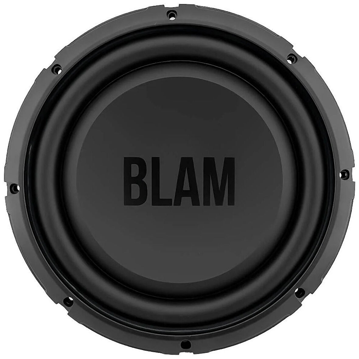 BLAM RS10.2 25cm Subwoofer