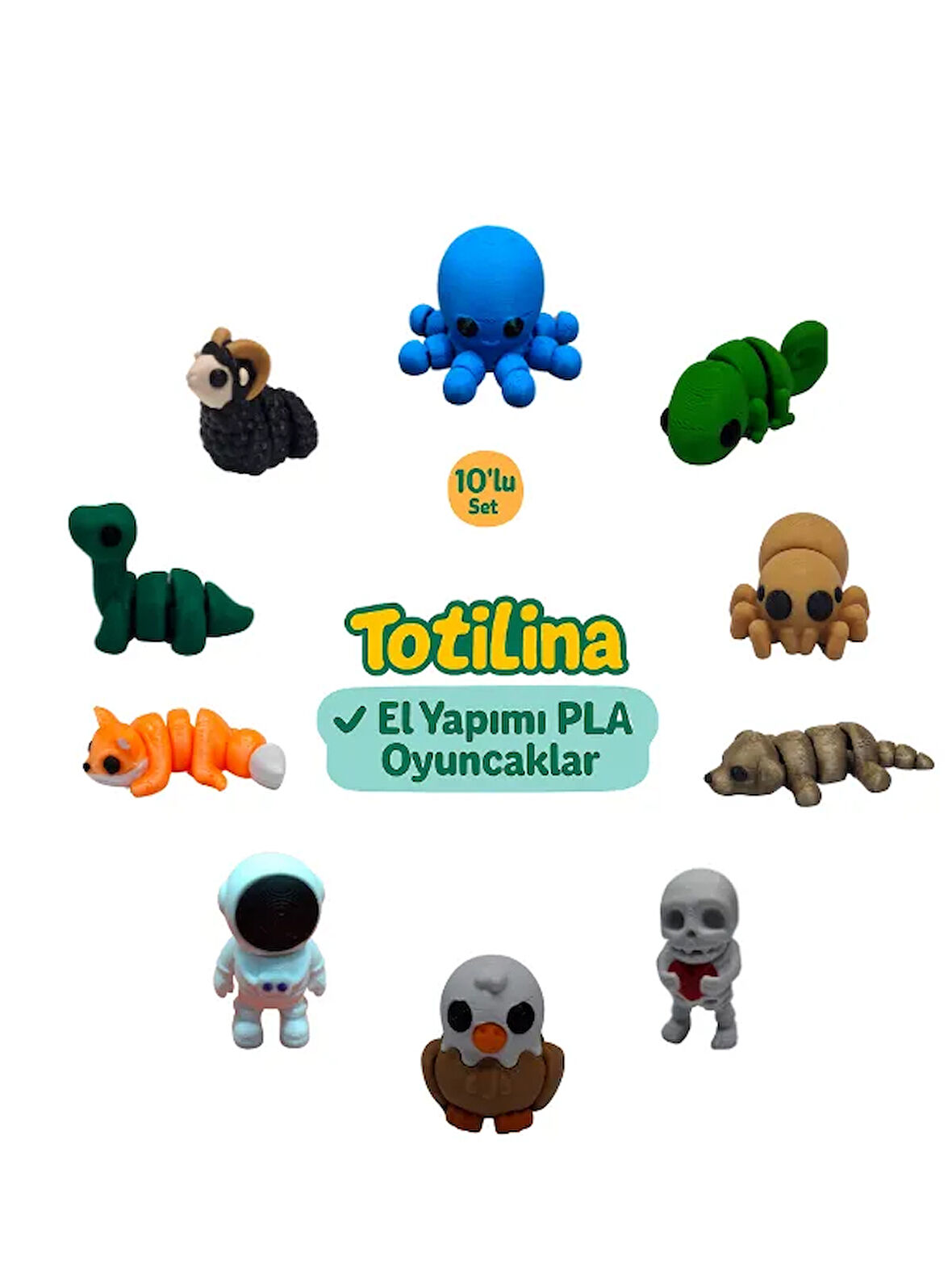 10'lu set (ahtapot bukalemun örümcek köpek iskelet kartal…)