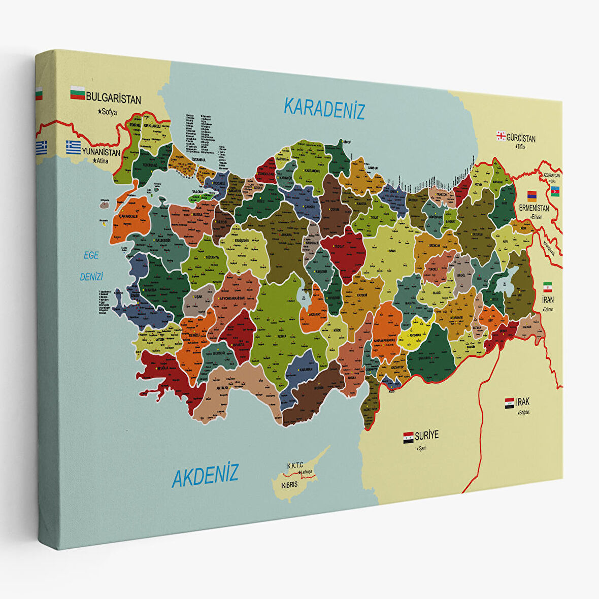 Harita Sepeti Türkiye Haritası Kanvas Tablo İl ve İlçeli Ayrıntılı Eğitici Komşulu Tablo 3000