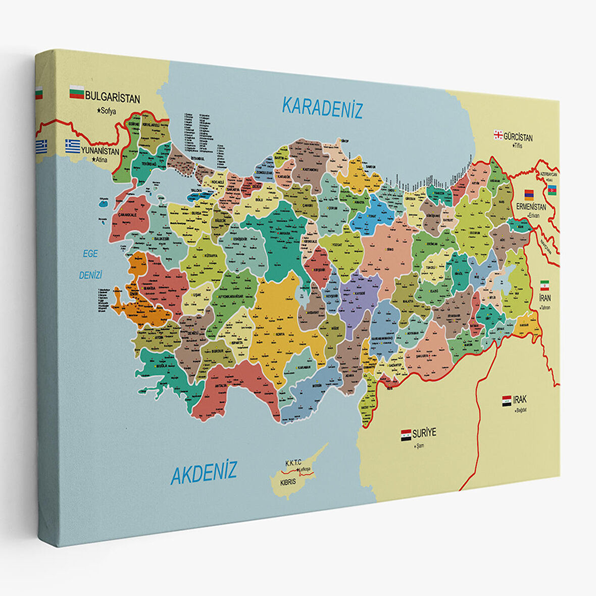 Harita Sepeti Türkiye Haritası Kanvas Tablo İl ve İlçeli Ayrıntılı Eğitici Komşulu Tablo 3006