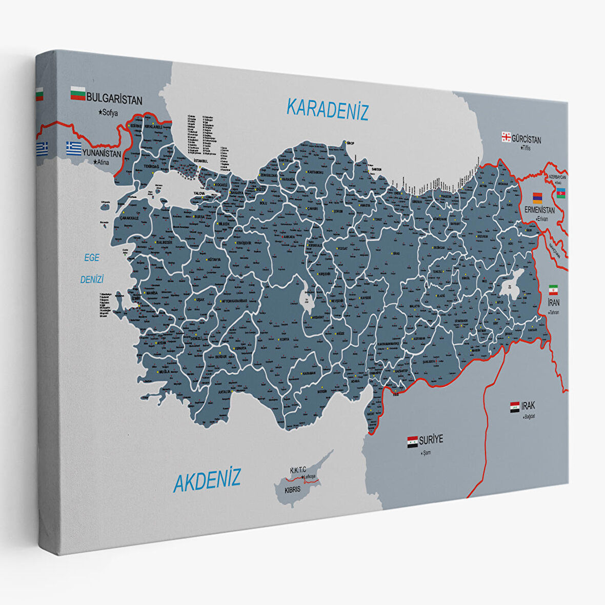 Harita Sepeti Türkiye Haritası Kanvas Tablo İl ve İlçeli Ayrıntılı Eğitici Komşulu Tablo 3009