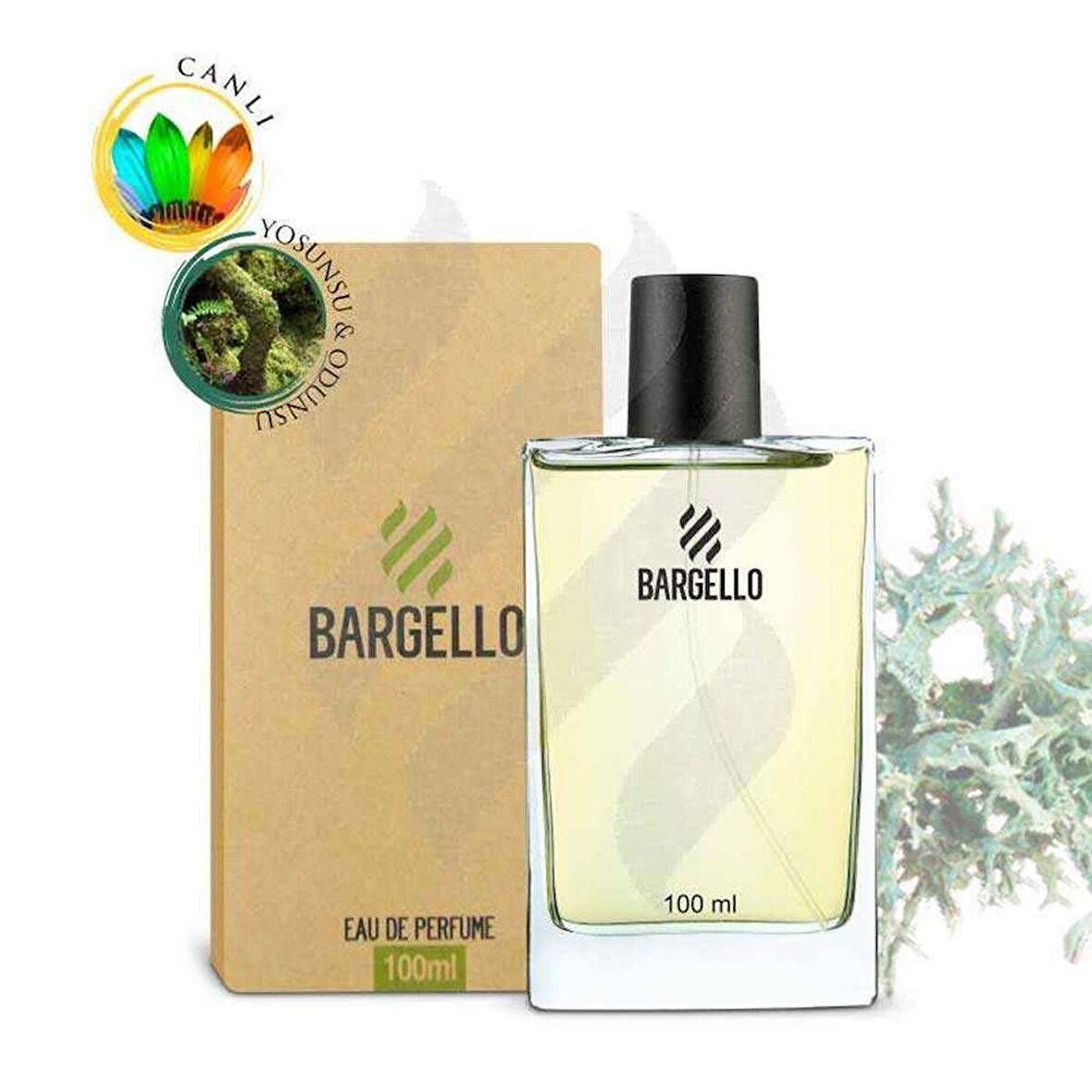 BARGELLO 544 ERKEK 100 ml PARFÜM EDP