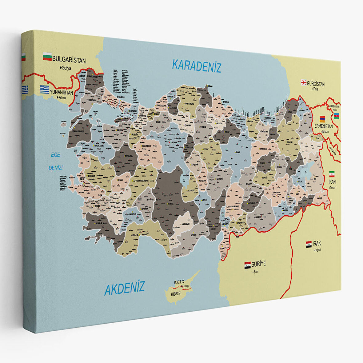 Harita Sepeti Türkiye Haritası Kanvas Tablo İl ve İlçeli Ayrıntılı Eğitici Komşulu Tablo 3013