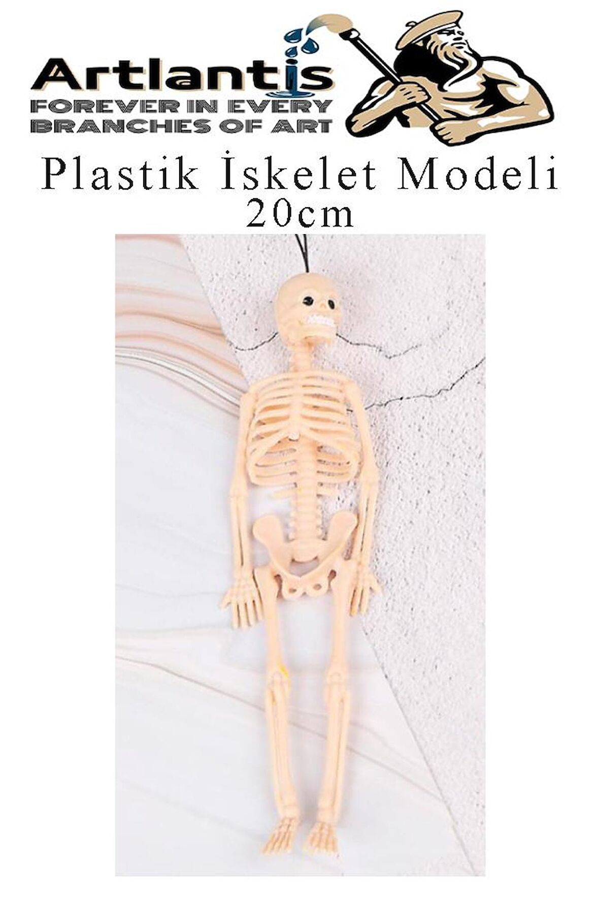 Plastik İskelet Modeli 20 cm 1 Adet Plastik İnsan İsket Modeli Silikon İskelet Deneyi Araba Süsü