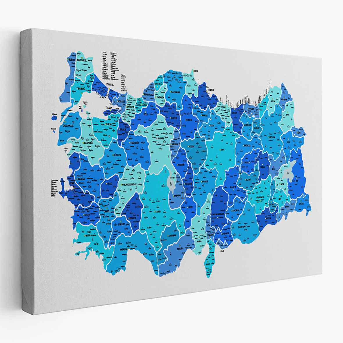 Harita Sepeti Türkiye Haritası Kanvas Tablo İl ve İlçeli Ayrıntılı Eğitici Dekoratif Tablo 3030