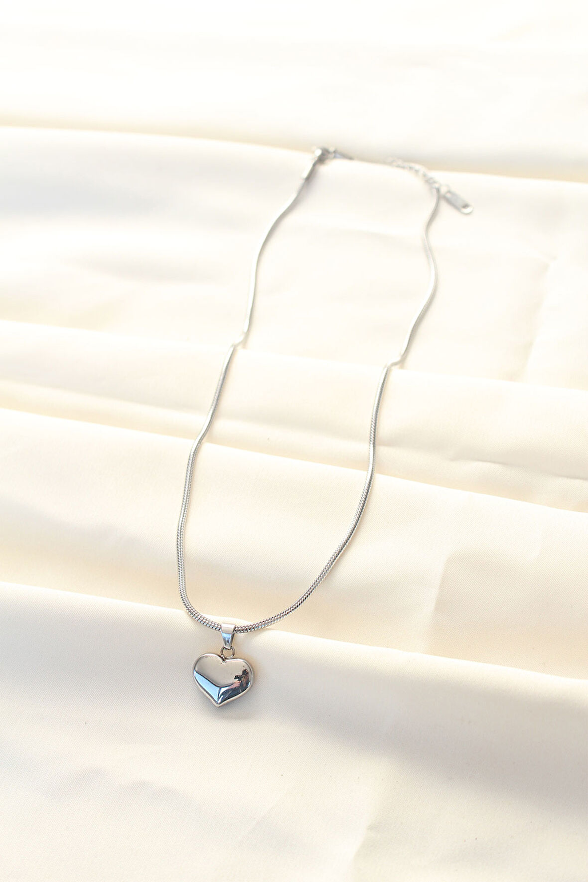 Zarif Kadın için Silver Çelik Kalp Stil Kolye