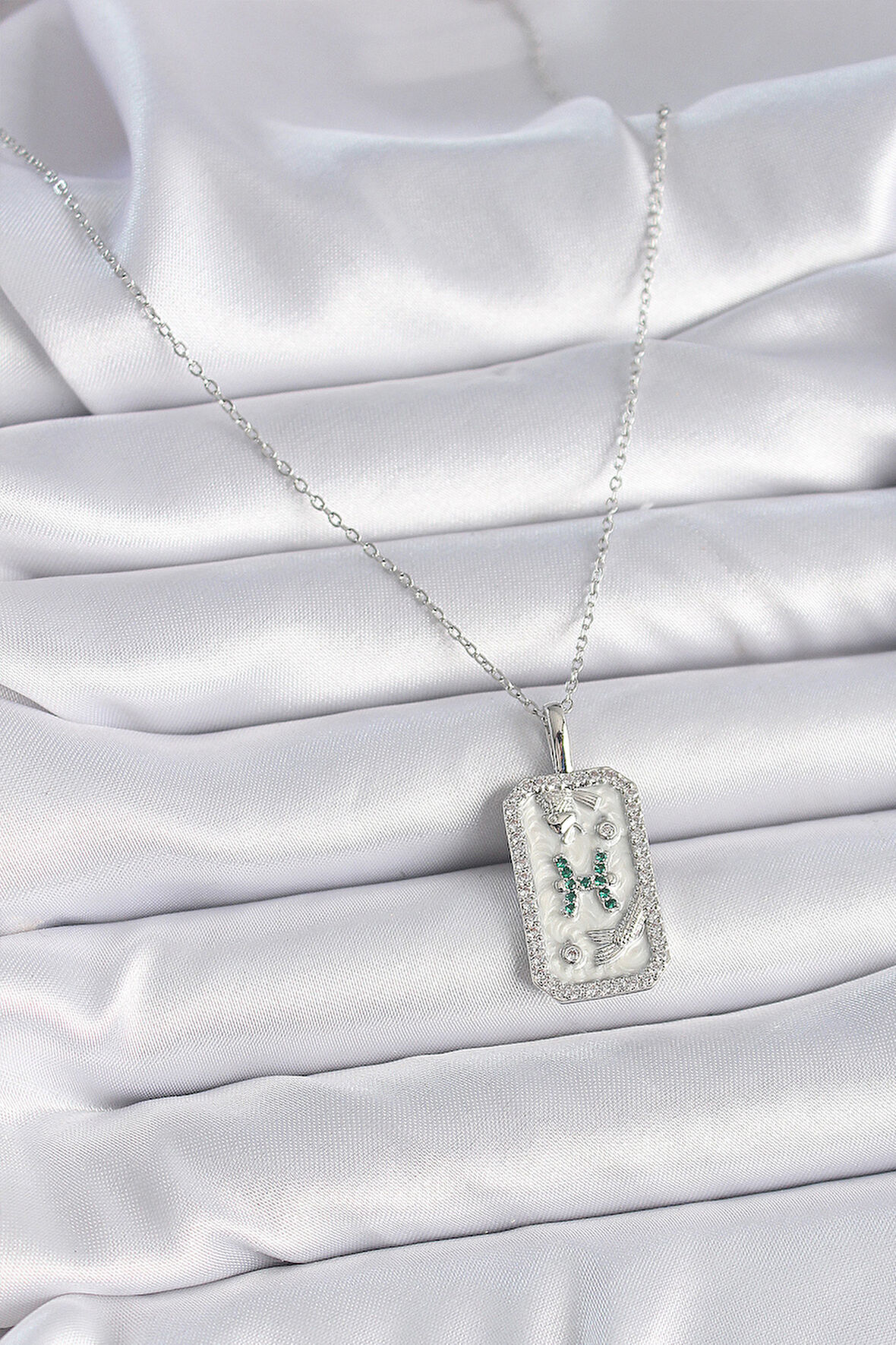 Zarif Kadın için Silver Çelik Zincir Balık Burcu Zirkonlu Kolye