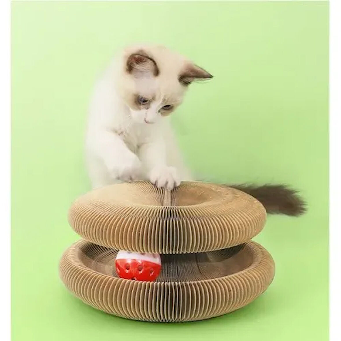 Büro Ev Evcil Hayvanı için Şekillendirilir Kedi Oyun Alanı