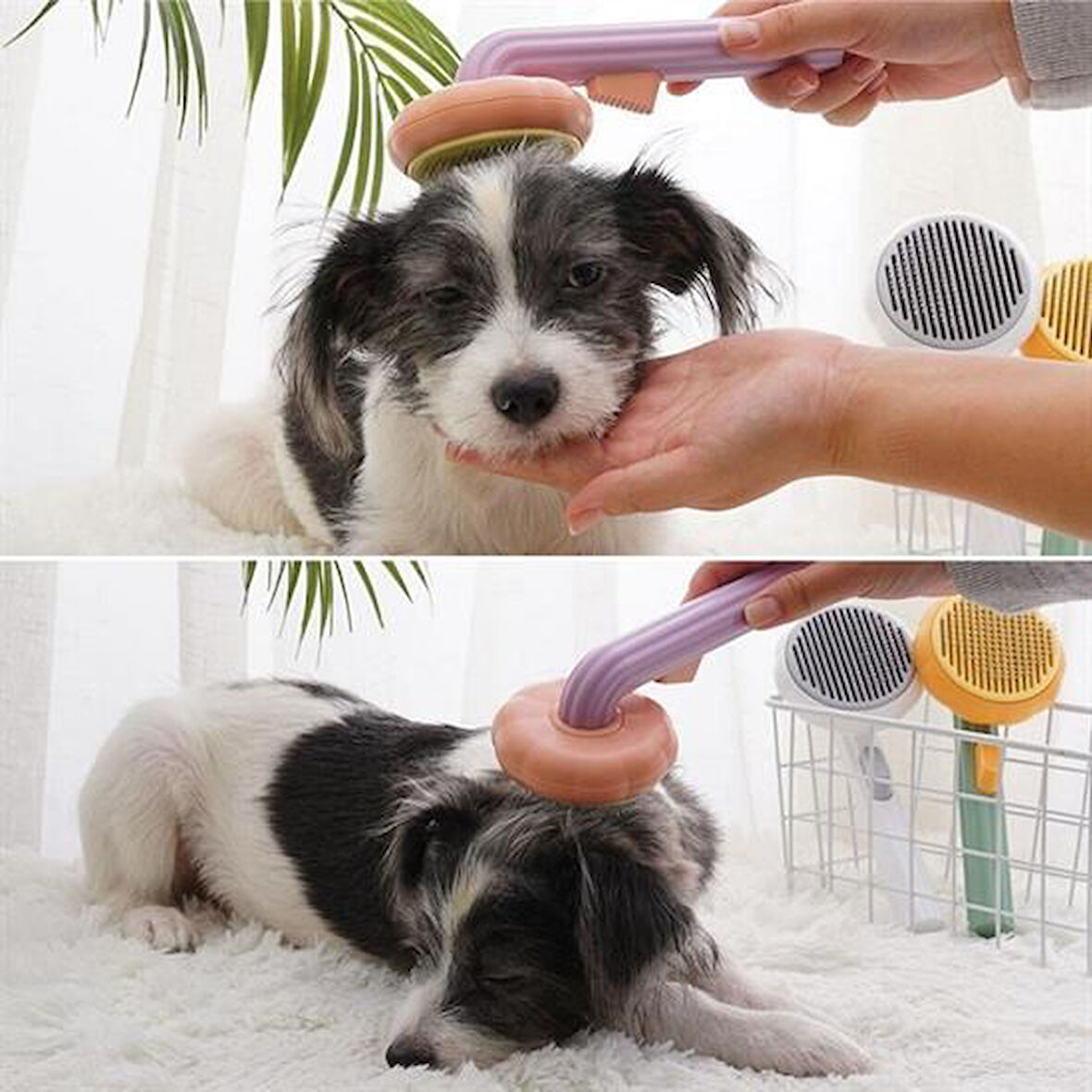 Büro Ev Evcil Hayvanı için Yeşil Plastik Çok Amaçlı Kedi Köpek Fırçası