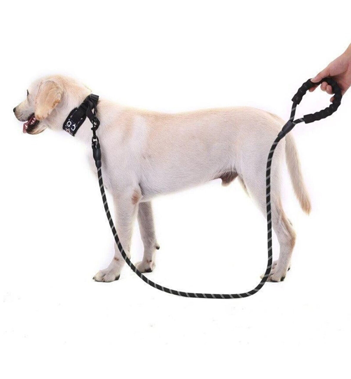 Büro Ev Evcil Hayvanı için Siyah 1,3M Reftektörlü Köpek Gezdirme Tasması