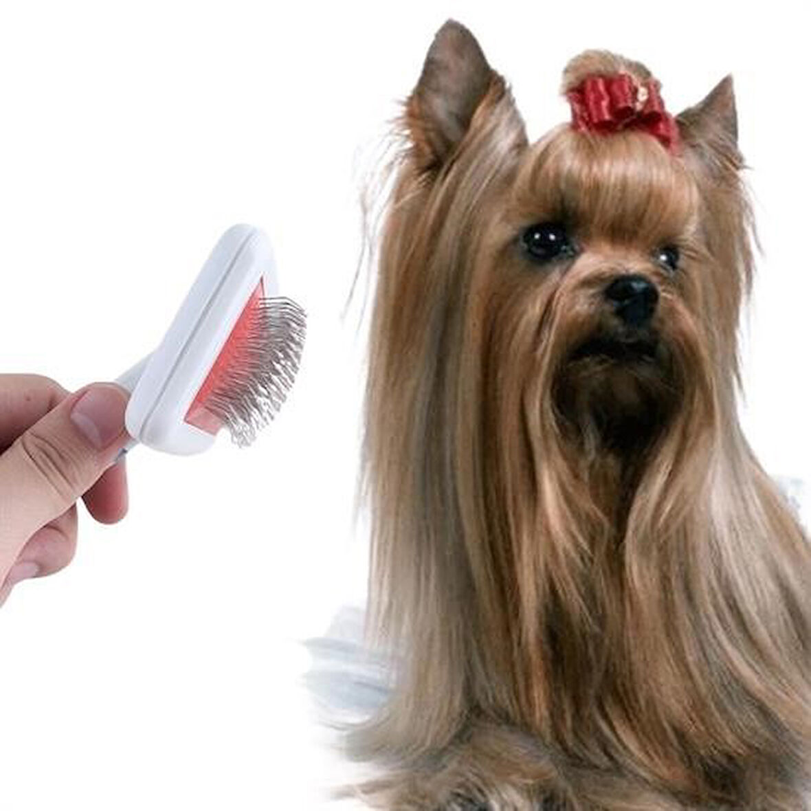 Büro Ev Evcil Hayvanı için Paslanmaz Kedi Köpek Tüy Tarama Toplama Fırçası