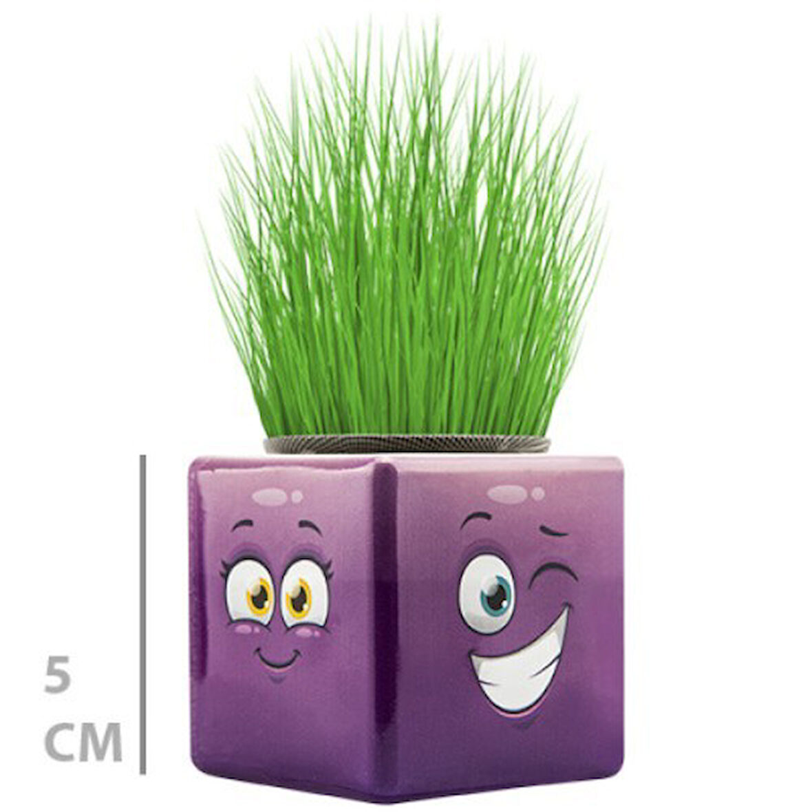 Büro Ev Ofis Dekoru için Mini Emoji Figürlü Küp Çim Adamı