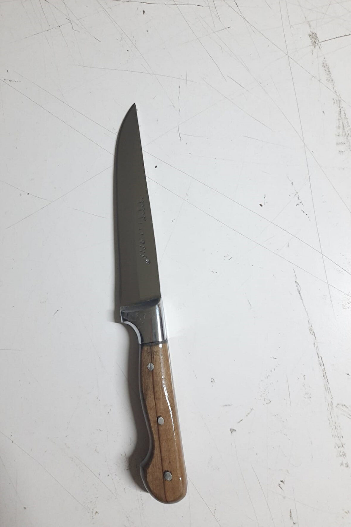Büro Ev Ofis Mutfağı için 29CM Ahşap Saplı Metalik Korumalı Bıçak Mutfak Bıçağı