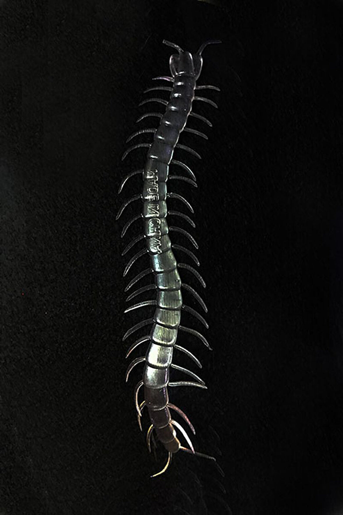 Büro Ev Ofis Eğlence Korku Şakası için 13CM Tekli Şeffaf Karanlık Parlar Kırkayak