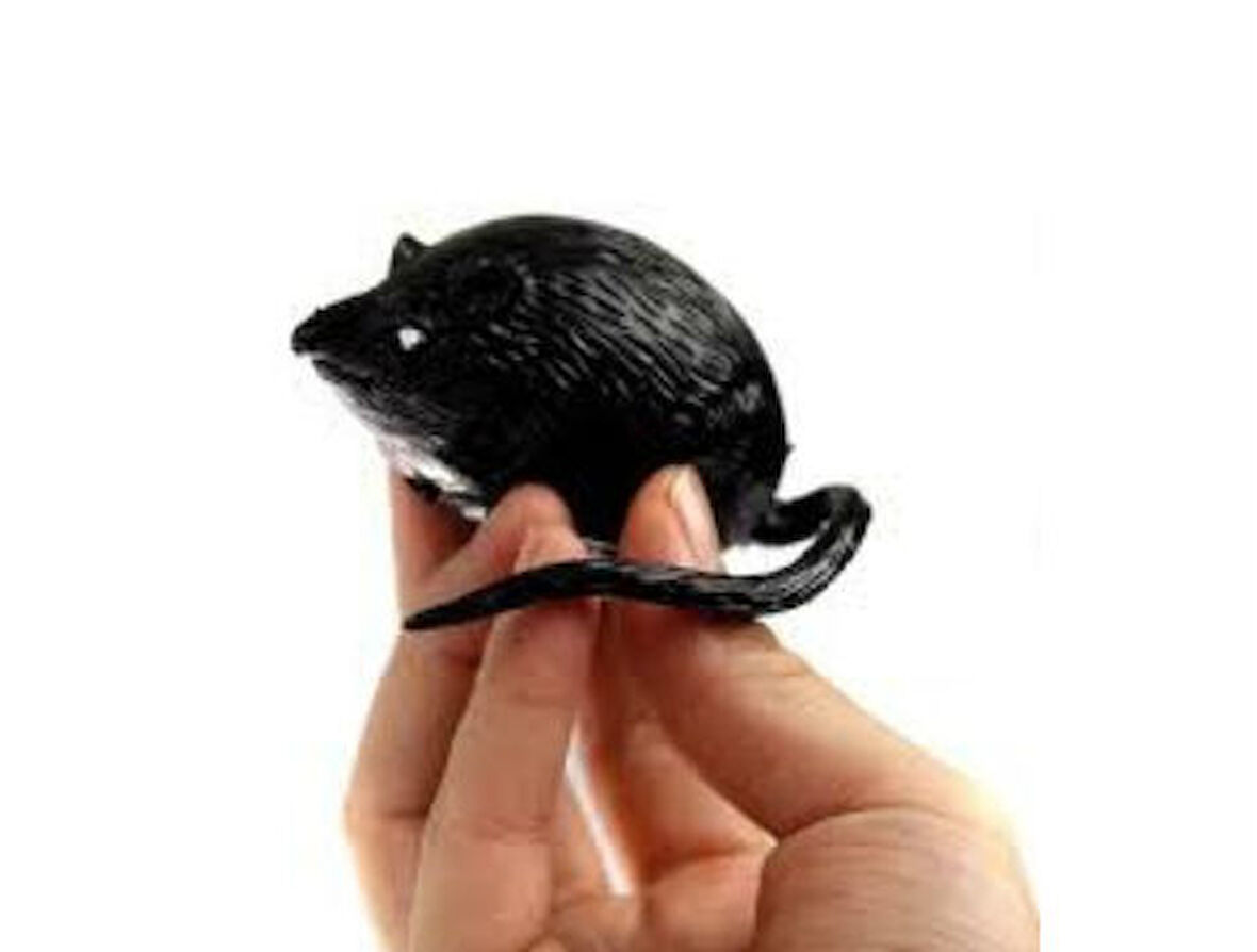 Büro Ev Ofis Eğlence Korku Şakası için Sulu Yalancı Fare