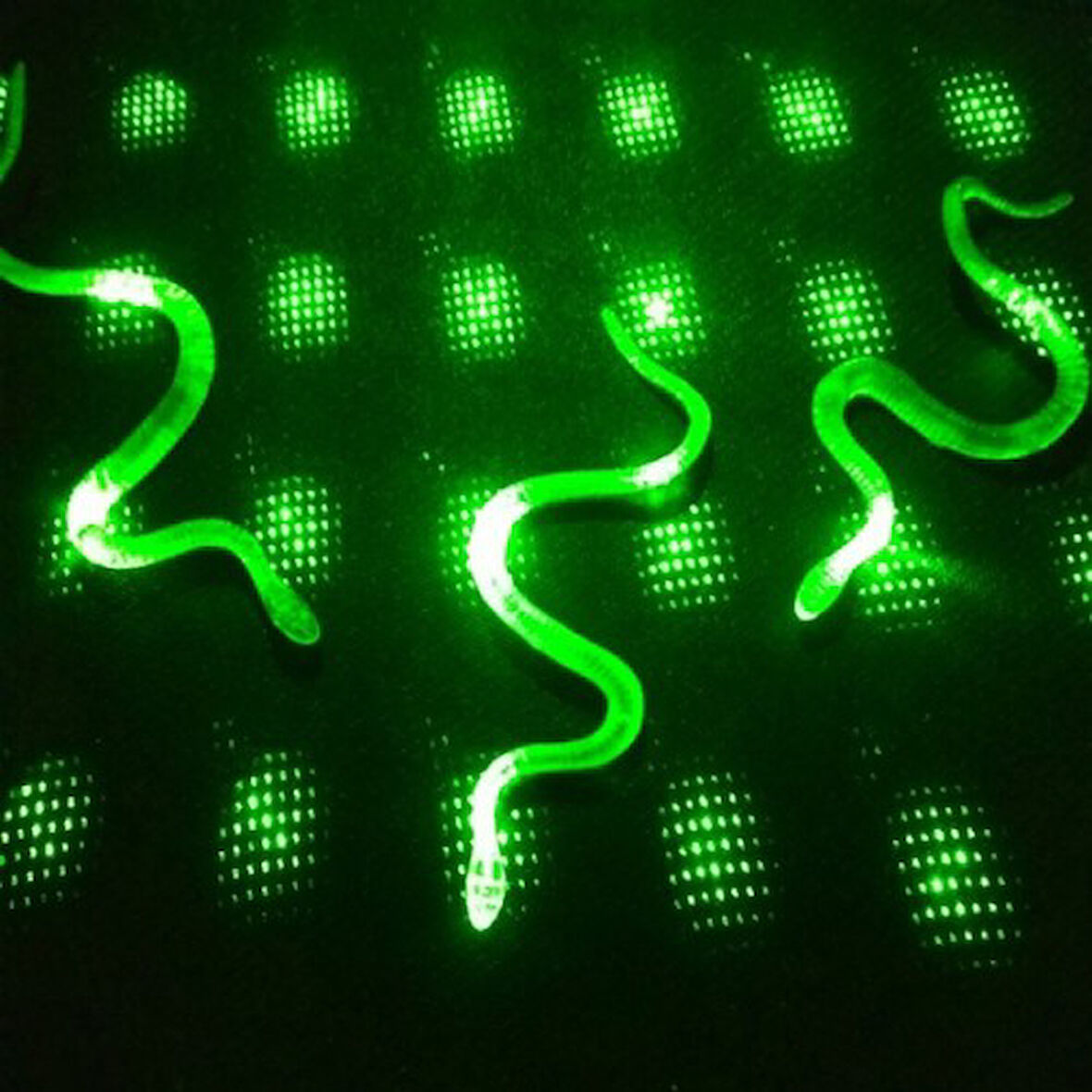 Büro Ev Ofis Eğlence Korku Şakası için 36CM Yalancı Yılan Kırkayak Seti