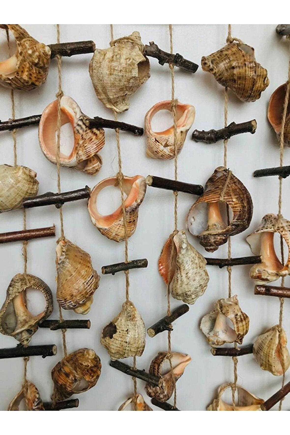 Rüzgar Çanı Deniz Kabuğu Gongaz 7li