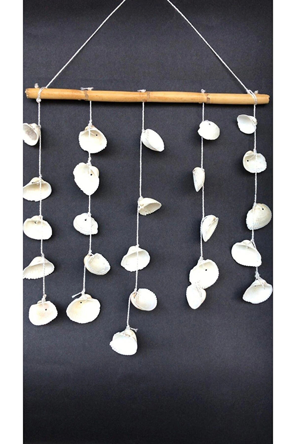 Düz Rüzgar Çanı Deniz Kabuğu Abalon